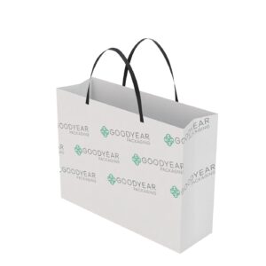 Luxury Paper Bag